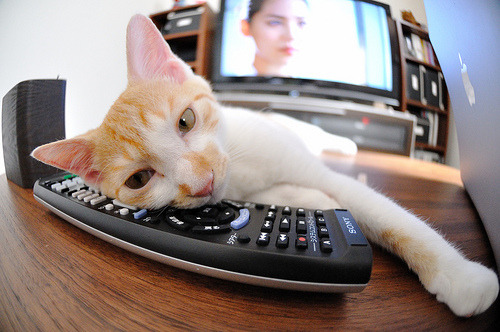 九游登录中心-丹麦队欧洲杯表现出色，赢得球迷赞誉，丹麦队欧洲杯表现出色,赢得球迷赞誉