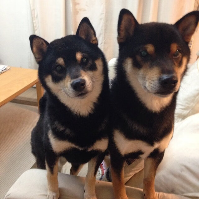 全国马拉松大赛，跑者突破自我迎接挑战，2020全国马拉松