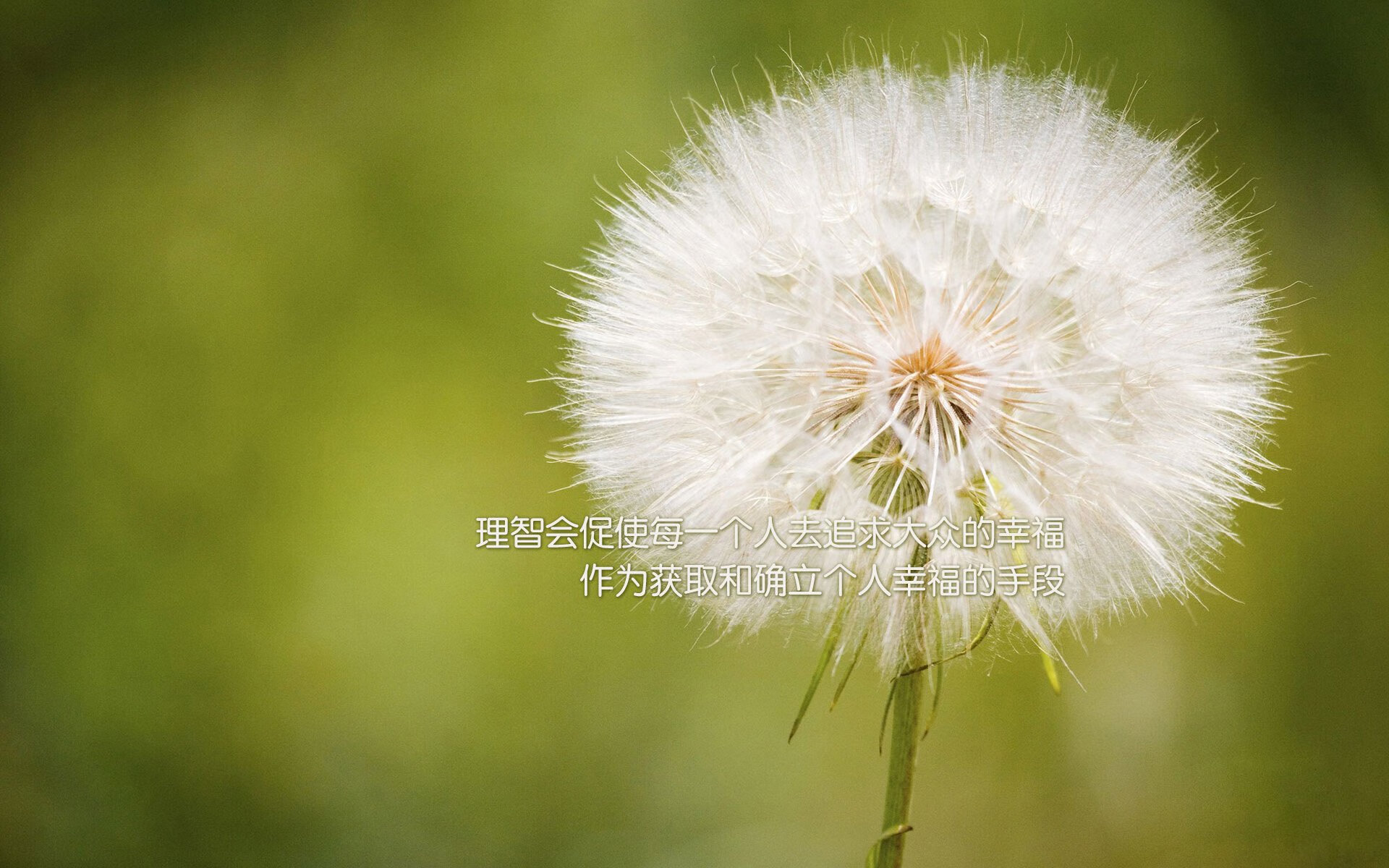 广州队青训梯队夺得U19全国冠军，广州队青训全面压缩