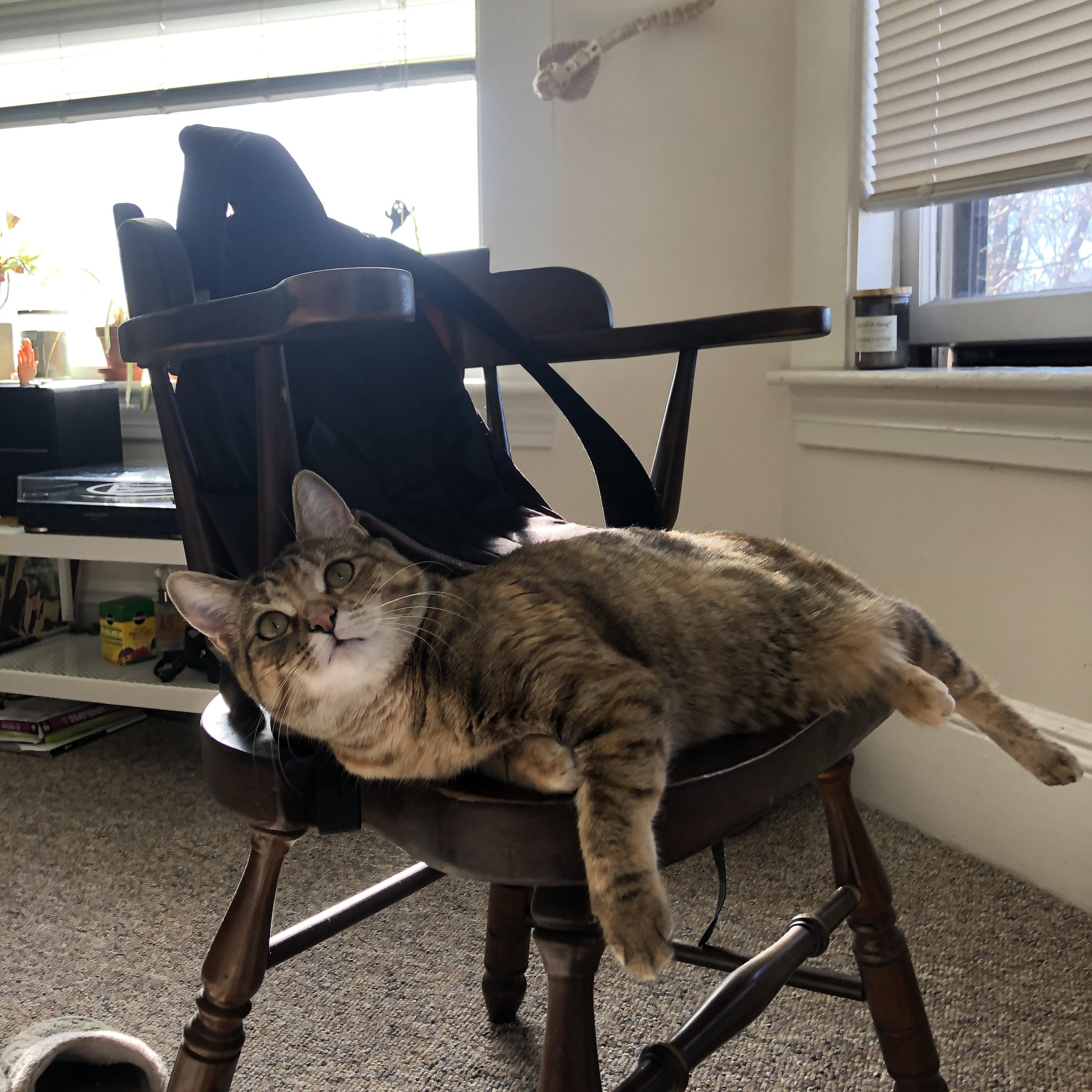 九游电脑版-成都国际马拉松赛吸引全球跑者参加，成都马拉松项目